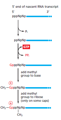Figure 6-23.png